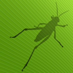 Il logo di Grasshopper che è una silhouette scura di una cavalletta su uno sfondo verde come una foglia.